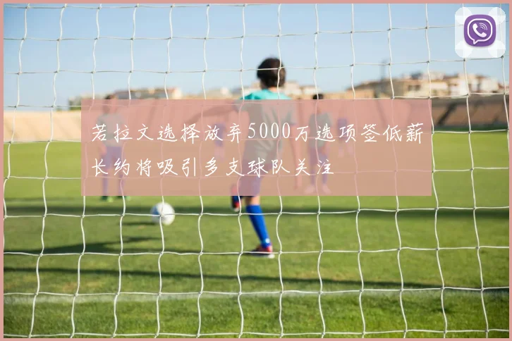 若拉文选择放弃5000万选项签低薪长约将吸引多支球队关注