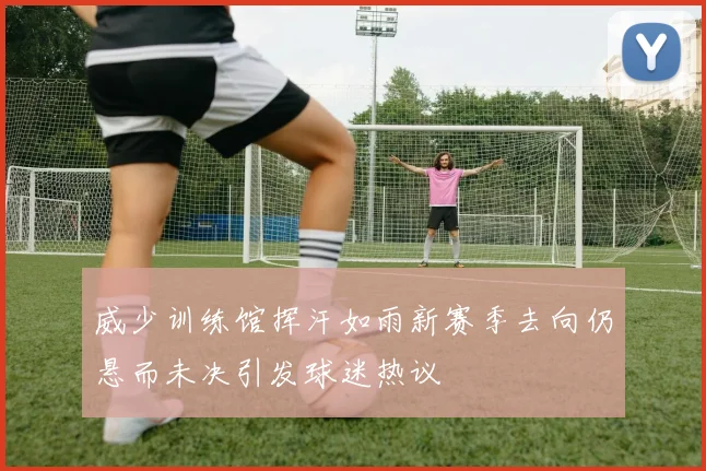 威少训练馆挥汗如雨新赛季去向仍悬而未决引发球迷热议
